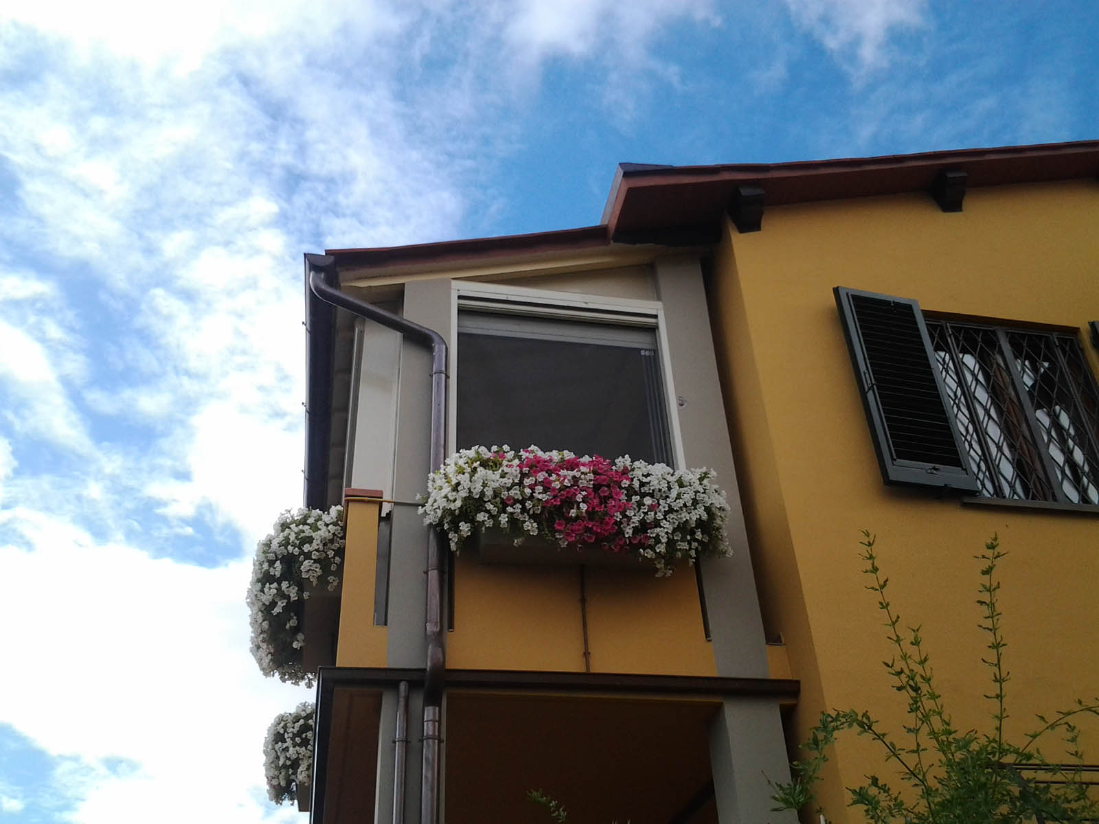 Balcony with mesh and screen fabric - PALAGINA